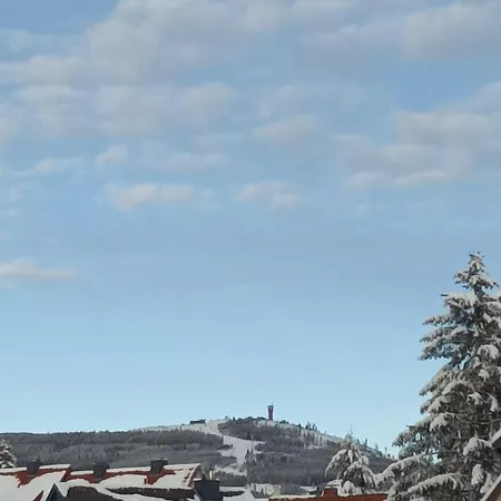 Harzglanz Fewos Blankenburger Str 8b Lejlighed Braunlage