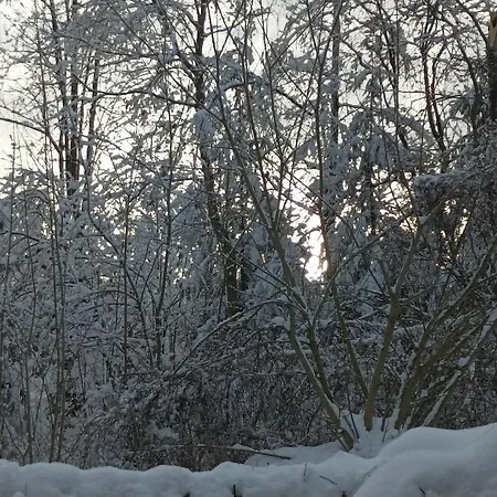 Lejlighed Harzglanz Fewos Blankenburger Str 8b Braunlage