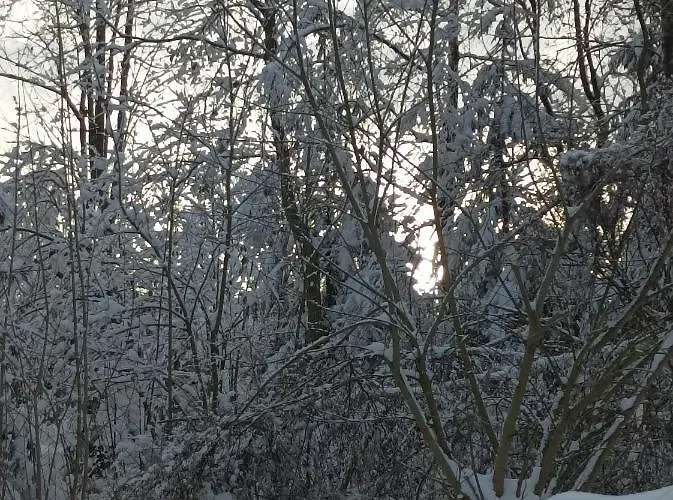 Daire Harzglanz Fewos Blankenburger Str 8b Braunlage